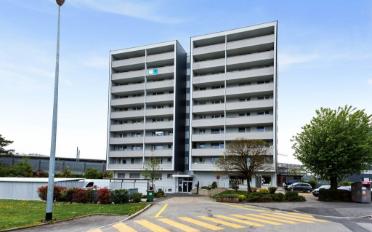 Apartment 1 room - image - 1
