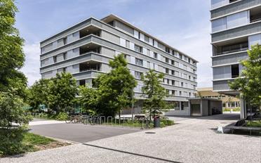 Ladenfläche - image - 2