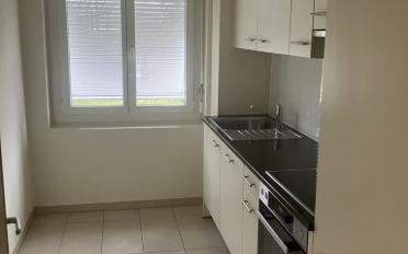 Wohnung 2 Zimmer - image - 2