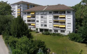 Wohnung ein Zimmer - image - 1