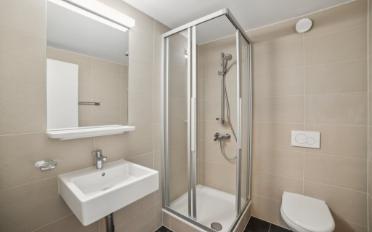 Attic flat 4.5 rooms - image - 7