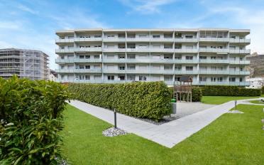 Wohnung 2.5 Zimmer - image - 1