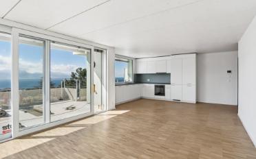 Attic flat 2.5 rooms - image - 5