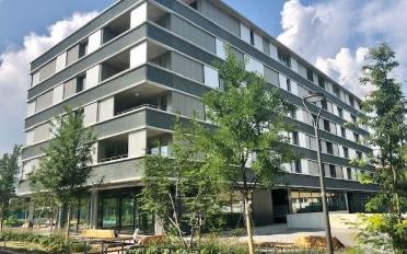 Wohnung 3.5 Zimmer - image - 1