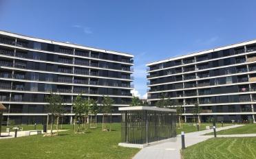 Wohnung 3.5 Zimmer - image - 1