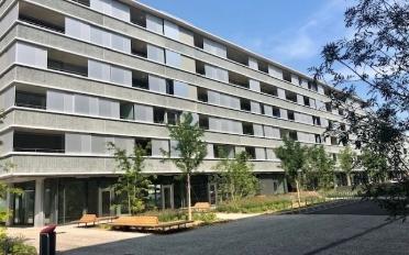 Wohnung 2.5 Zimmer - image - 2