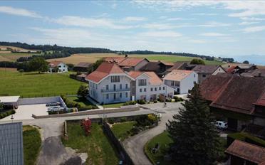 Wohnung 3.5 Zimmer - image - 5