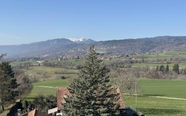 Wohnung 4.5 Zimmer - image - 4