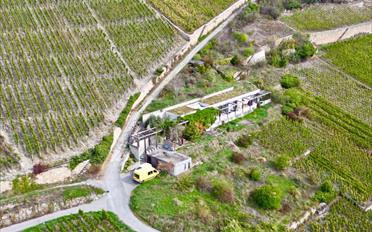 Villa 7 Zimmer - image - 1