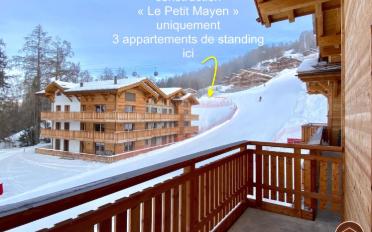 Appartement terrasse 5.5 pièces - image - 11