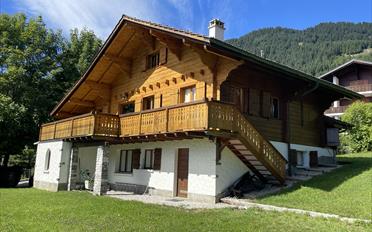 Chalet 9 rooms - image - 1