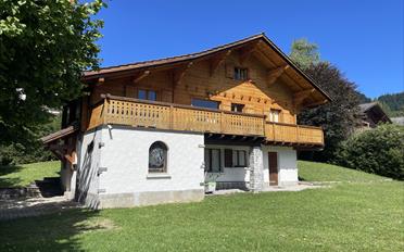 Chalet 9 Zimmer - image - 2