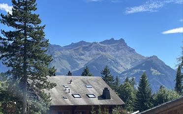 Chalet 9 Zimmer - image - 27