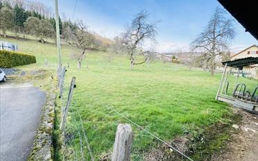 Ferme - image - 6