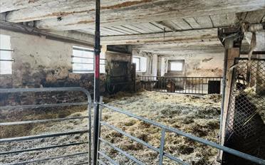 Ferme - image - 11