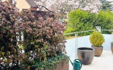 Appartement - image - 1