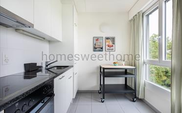 Furnished flat 2.5 rooms - image - 5