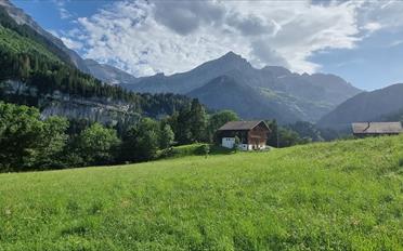 Attikawohnung 3.5 Zimmer - image - 4