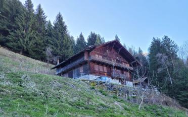 Chalet 6 Zimmer - image - 1