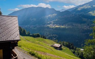 Chalet 5 Zimmer - image - 2