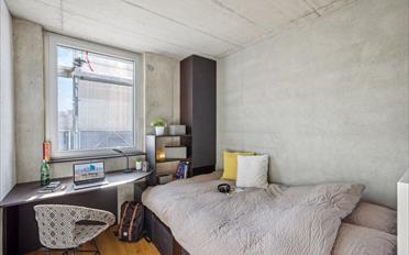 Chambre 1 pièce - image - 2