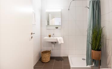 Appartement meublé 2 pièces - image - 7