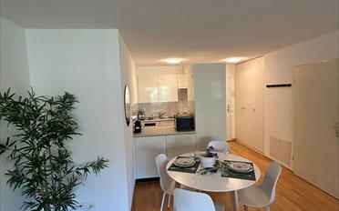 Furnished flat 1 room - image - 3