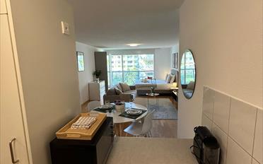 Furnished flat 1 room - image - 5