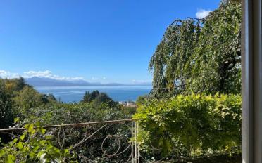 Single house 6.5 rooms - image - 1