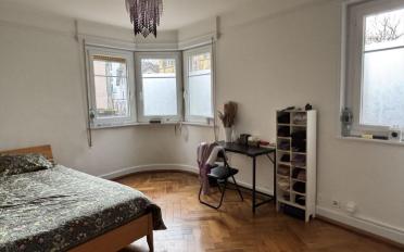 Wohnung 1.5 Zimmer - image - 4