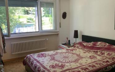 Wohnung 2.5 Zimmer - image - 4