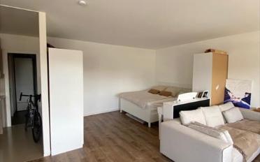 Appartement 1.5 pièces - image - 7