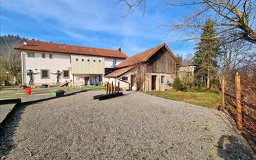 Restaurant - image - 2