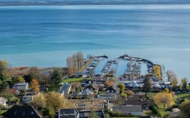 Appartement 2.5 pièces - image - 5