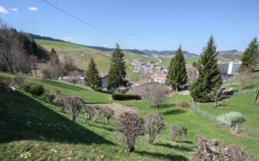 Villa 5.5 pièces - image - 6