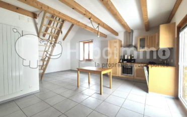 Wohnung 1.5 Zimmer - image - 1