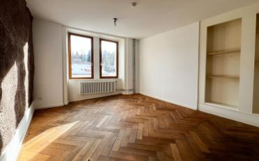 Exposition 1 pièce - image - 4