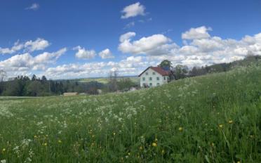 Wohnung 2.5 Zimmer - image - 9