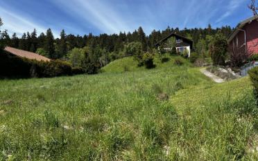 Bauland - image - 6