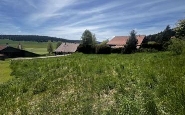 Bauland - image - 4
