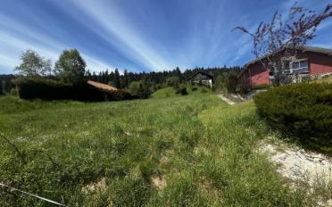 Bauland - image - 3