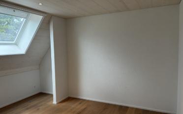 Attic flat 5.5 rooms - image - 9