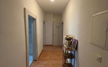 Gemischt genutzte Immobilie - image - 9