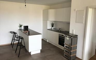 Wohnung 2.5 Zimmer - image - 3
