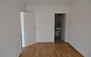 Wohnung 2.5 Zimmer - image - 6