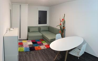 Furnished flat 2.5 rooms - image - 3