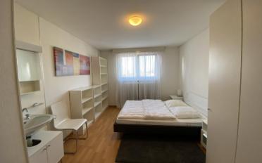 Appartement 2.5 pièces - image - 3