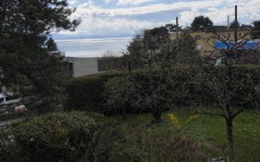 Wohnung 3.5 Zimmer - image - 1