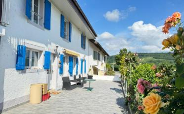 Maison contiguë - image - 1