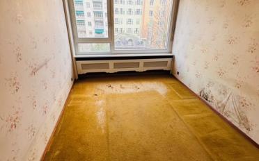 Wohnung 4 Zimmer - image - 14